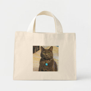 Mims mini tote bag