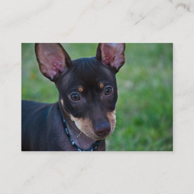 Min Pin business cards (Front)