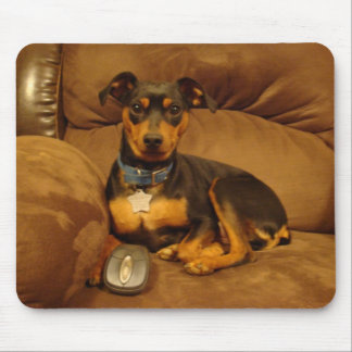 Min Pin Mouse Pad