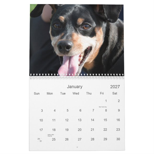 Min Pins 2013 Calendar (Jan 2027)