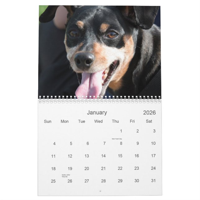 Min Pins 2013 Calendar (Jan 2026)
