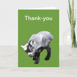 Minature Goat Scratching Thank-you Card