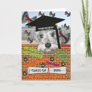 Minature Schnauzer Graduation Card