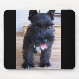 Minature Schnauzer Mouse Pad