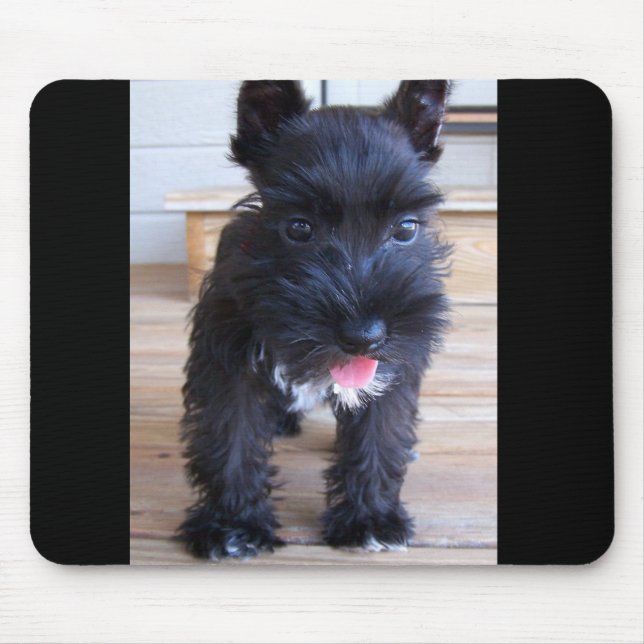 Minature Schnauzer Mouse Pad (Front)