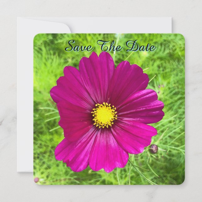 Mind Edition: Cosmos Save The Date (Front)