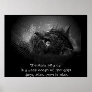 Mind of a cat  haiku poster