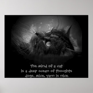 Mind of a cat haiku poster