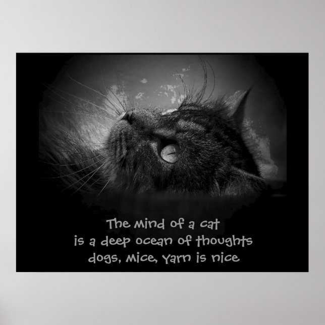 Mind of a cat  haiku poster (Front)