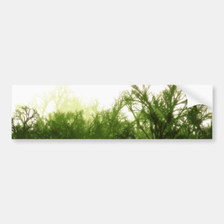 "Mind the Forest" Bumper Sticker