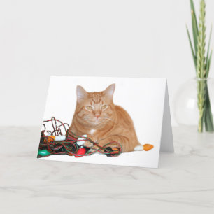 Mine!! Holiday Card