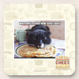 Mine now coaster