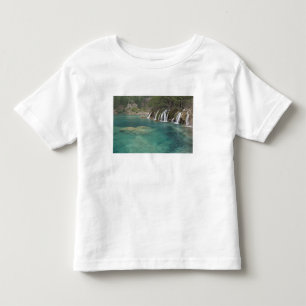 Mineral deposits make waterfalls and clear toddler t-shirt