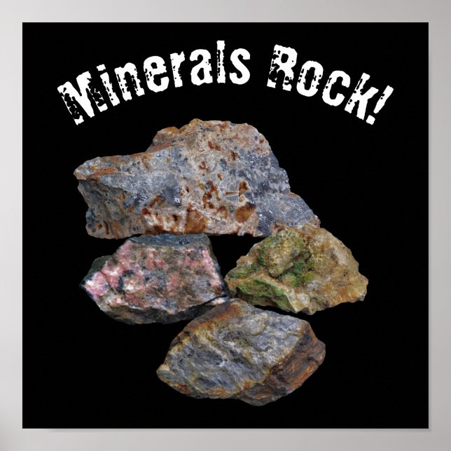 Minerals Rock Collectors Funny  Poster (Front)