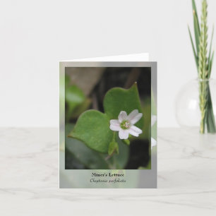 Miner's Lettuce Native Notecard