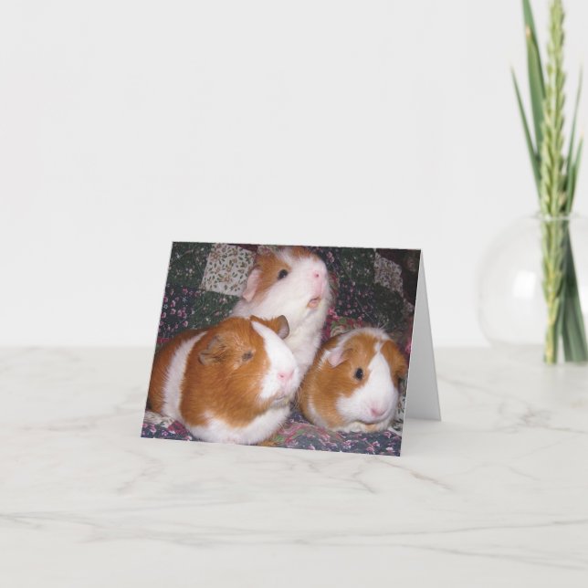 Minerva and Friends Notecard (Front)