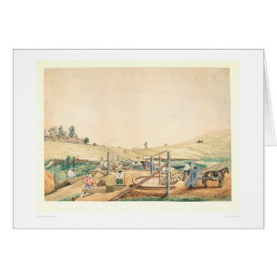 Mineurs de la Californie travaillant un Arrastra