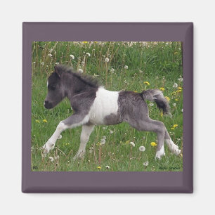 Mini aimant de cheval