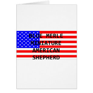 mini aussie name on flag blue merle
