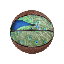 Basketball - Peacock avec Tailfeathers