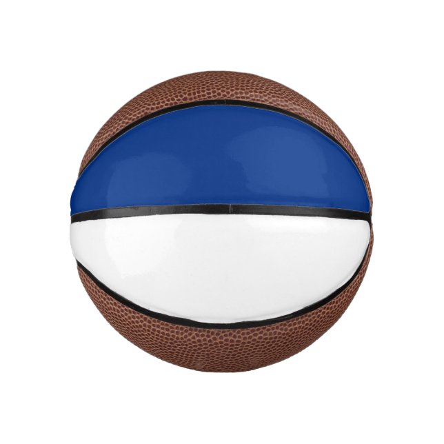 Mini Ballon De Basket Bleu et blanc (Devant)