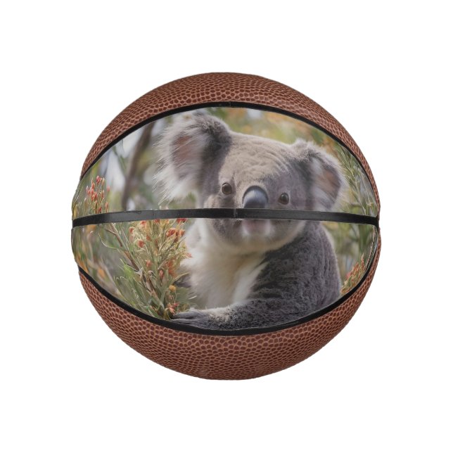 Mini Ballon De Basket Grevillea Koala Bear, (Devant)