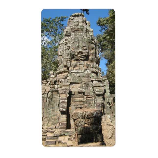 Mini Bayon ... Ta Prohm, Siem Reap, Cambodia (Front)