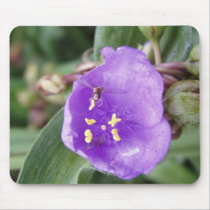 MINI Bee Caught in Flight Mouse Pad