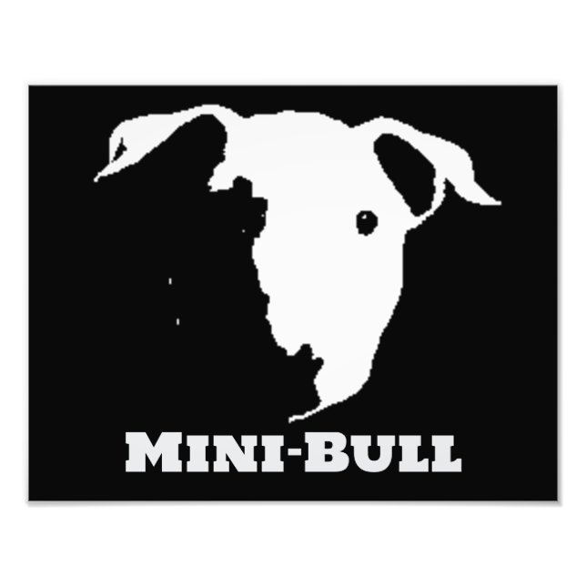 MINI BULL  PHOTO PRINT (Front)