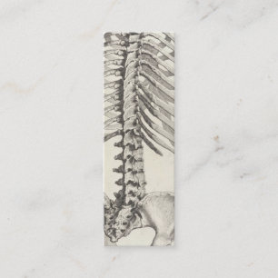 Mini Carte de visite spinal