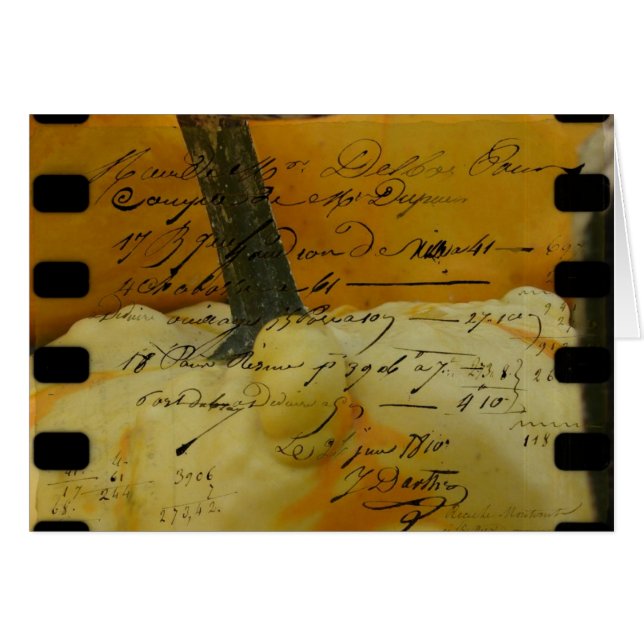 Mini Citrouilles (Devant horizontal)