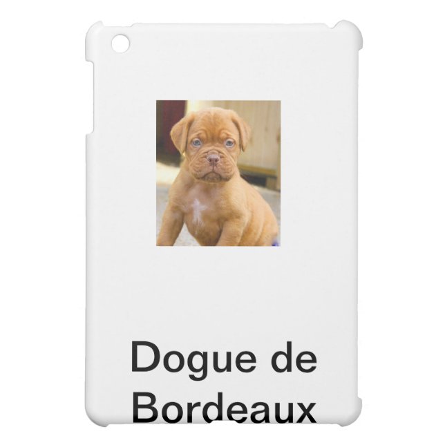 MINI *** DE COQUE IPAD (Dos)