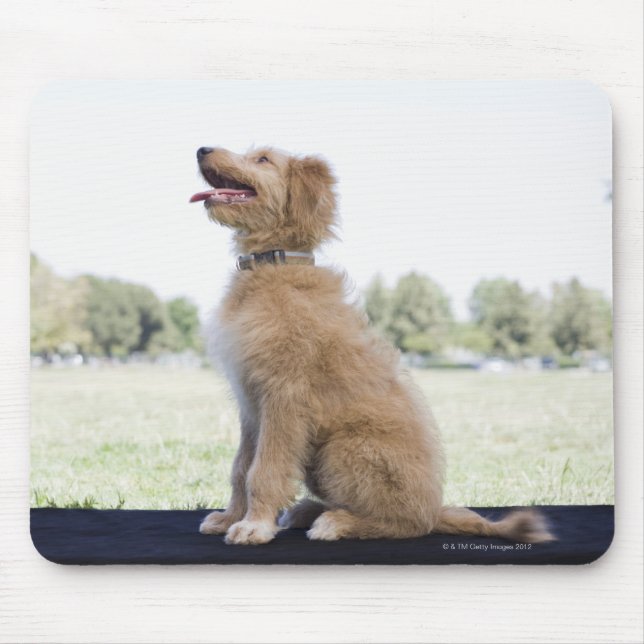 Mini golden doodle mouse pad (Front)