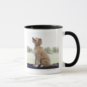 Mini golden doodle mug