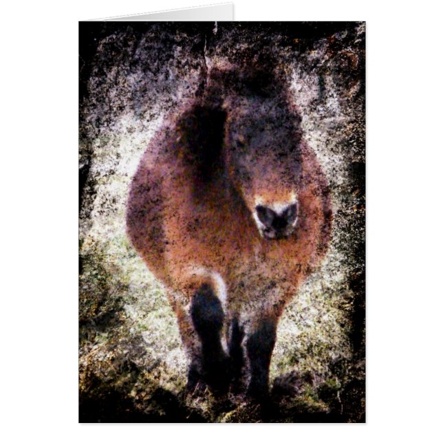 Mini grunge de jument (Devant)