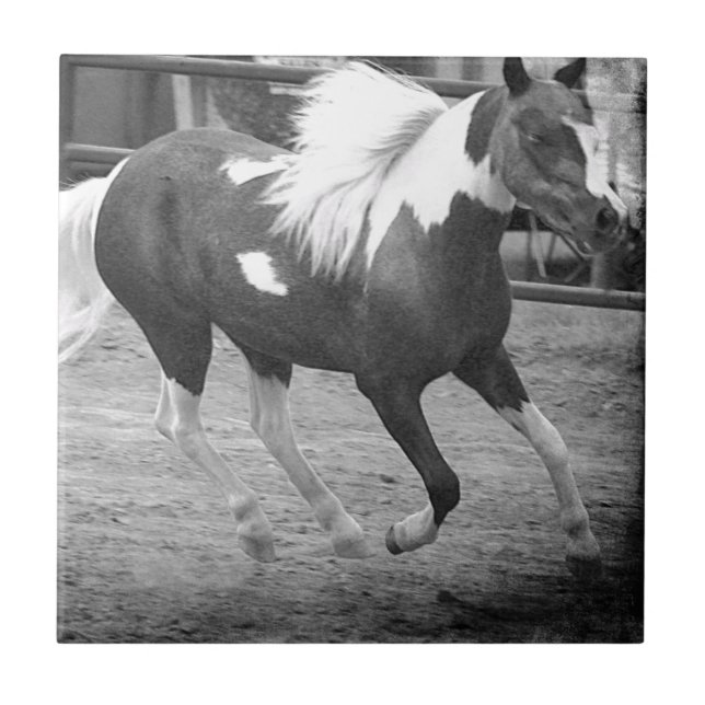 Mini Horse Gallops Tile (Front)