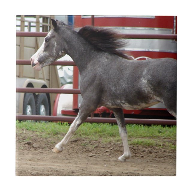 Mini Horse in Liberty Class Tile (Front)