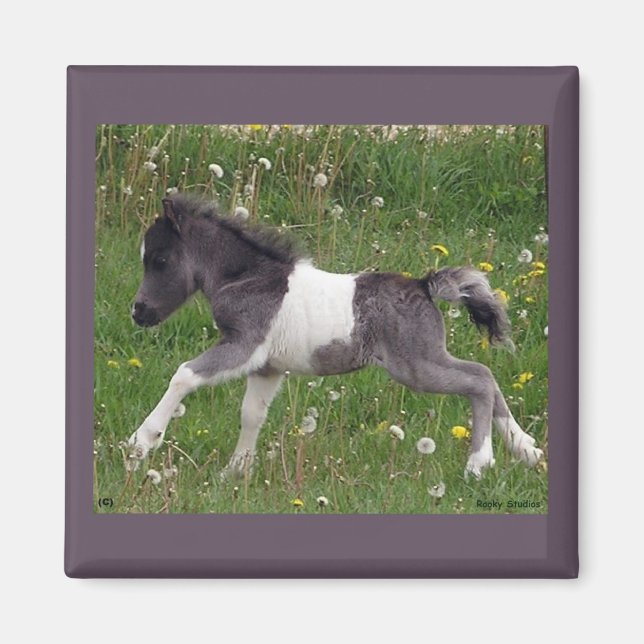 Mini Horse Magnet (Front)