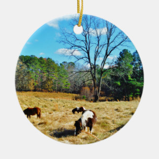 Mini Horses Ceramic Ornament