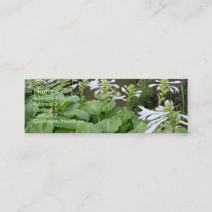 Mini Hosta dans carte de visite du jardin 3 de zen un