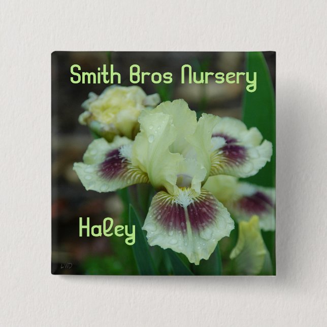 Mini Iris Button-Badge 2 Inch Square Button (Front)