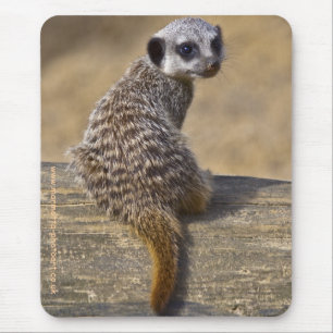 Mini Kat Mousemat Mouse Pad