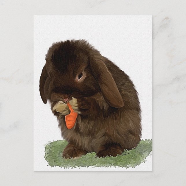 Mini Lop Bunny and carrot Postcard (Front)