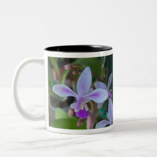 Mini orchid up close Two-Tone coffee mug