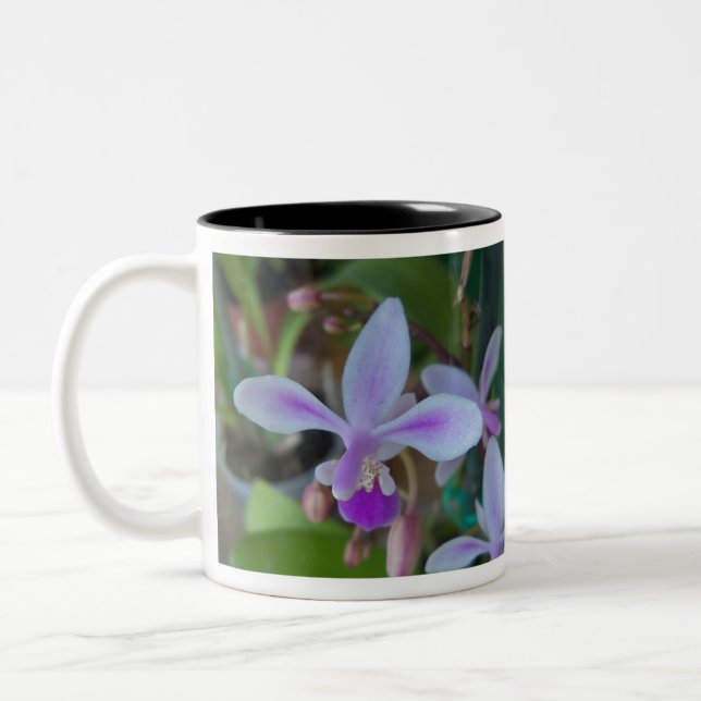 Mini orchid up close Two-Tone coffee mug (Left)