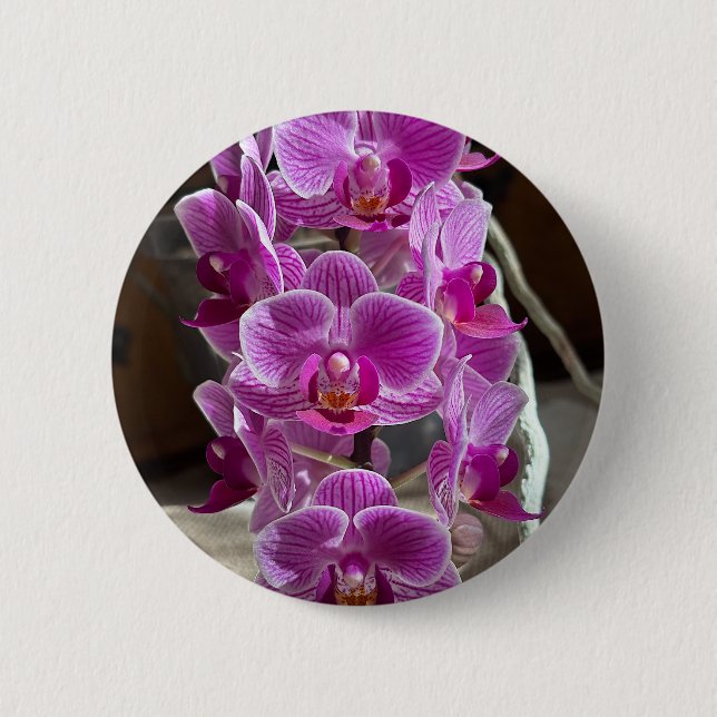 Mini Phalaenopsis Sogo Vivien Purple Orchid Flower 2 Inch Round Button (Front)