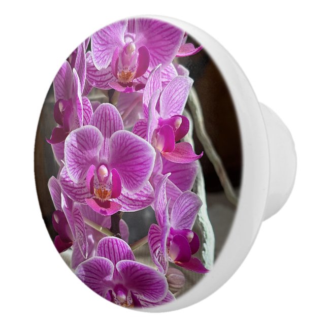 Mini Phalaenopsis Sogo Vivien Purple Orchid Flower Ceramic Knob (Right)