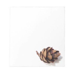 Mini Pine Cone Notepad