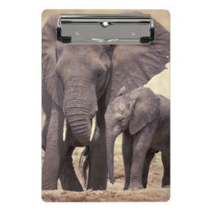 Mini Porte-bloc Afrique, Tanzanie, Parc national de Tarangire