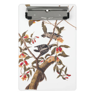 Mini Porte-bloc Audubon Downy Pic Couple aux fleurs